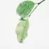 Two green leaves with water droplets on a white background.