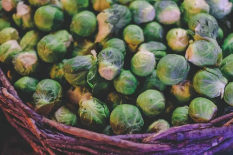 Basket filled with fresh Brussels sprouts.