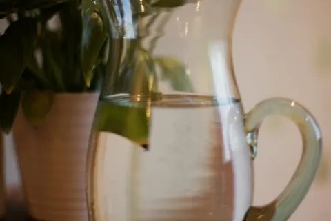 Glass jug of water on wooden table, with potted plant in background.