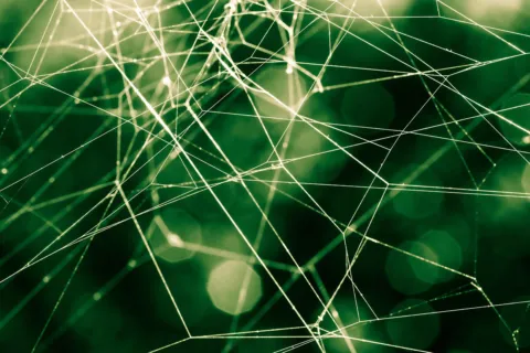 Close-up of a spider web with green blurred background.