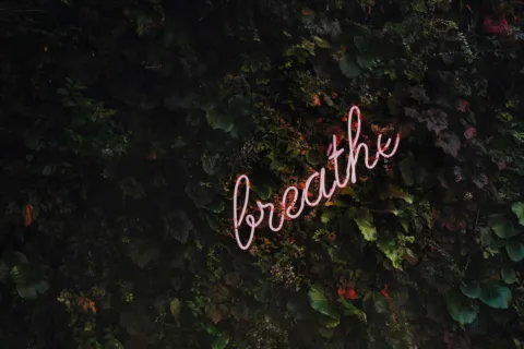 Neon sign reading "breathe" on a lush green plant wall.