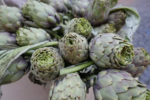 Close-up of fresh artichokes with green and purple leaves.