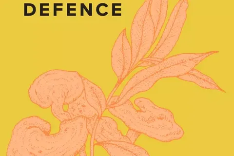 Number 02, "Defence", with orange botanical illustration on yellow background.