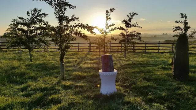 Sunrise over a grassy field with young trees and a stone sculpture in the foreground.
