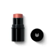 Black blush stick with pink tip, cap beside it displaying a white logo.