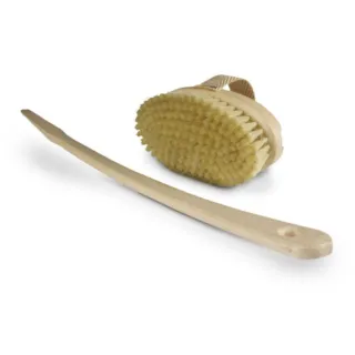 Wooden body brush with detachable handle and natural bristles.