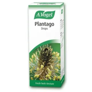 A. Vogel Plantago Drops box with plant image and "Fresh herb tincture" text.