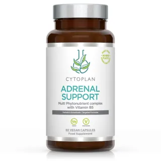 Cytoplan Adrenal Support bottle with 60 vegan capsules, Vitamin B5, and eco-friendly packaging.