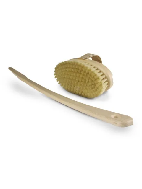 Wooden body brush with detachable handle and natural bristles.