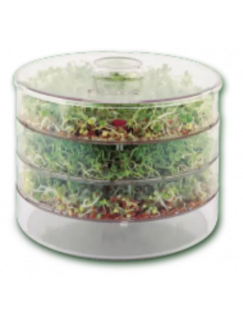Three-tier sprouting jar with green sprouts inside.