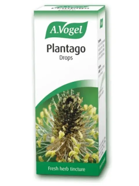 A. Vogel Plantago Drops box with plant image and "Fresh herb tincture" text.