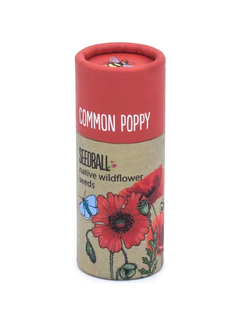 Common Poppy seedball tube with wildflower illustration.