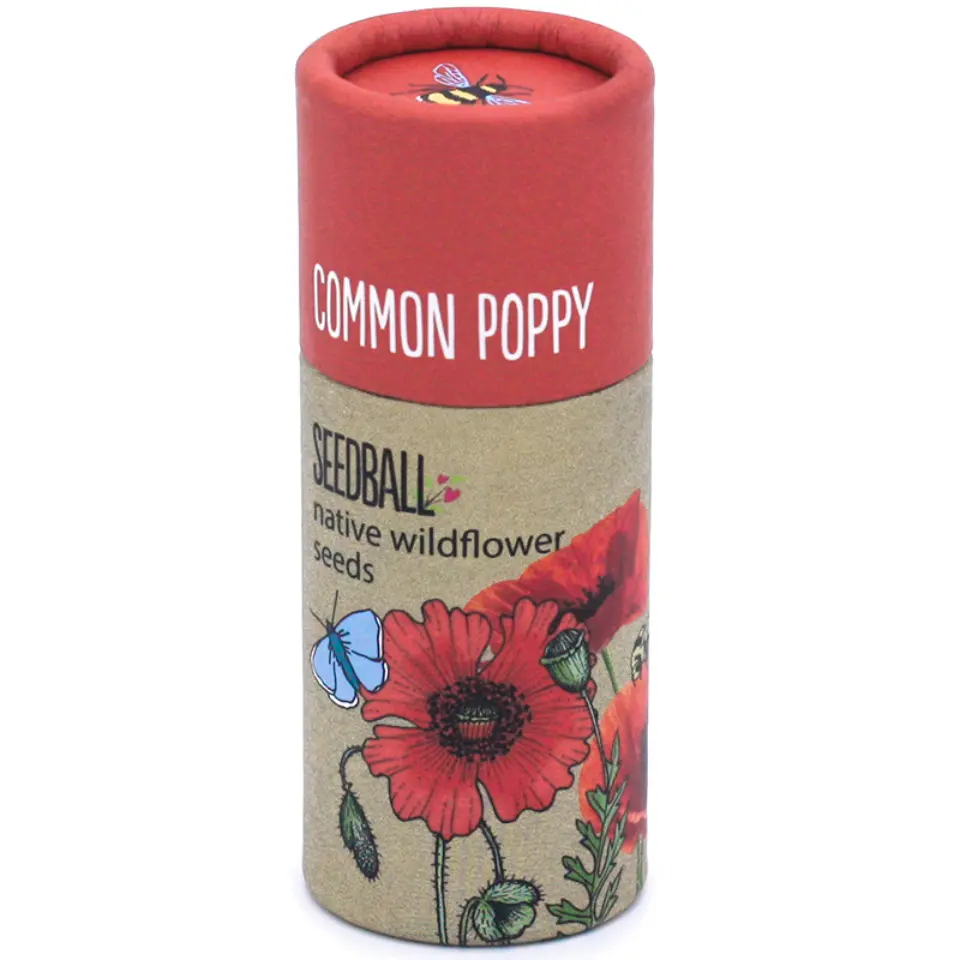 Common Poppy seedball tube with wildflower illustration.