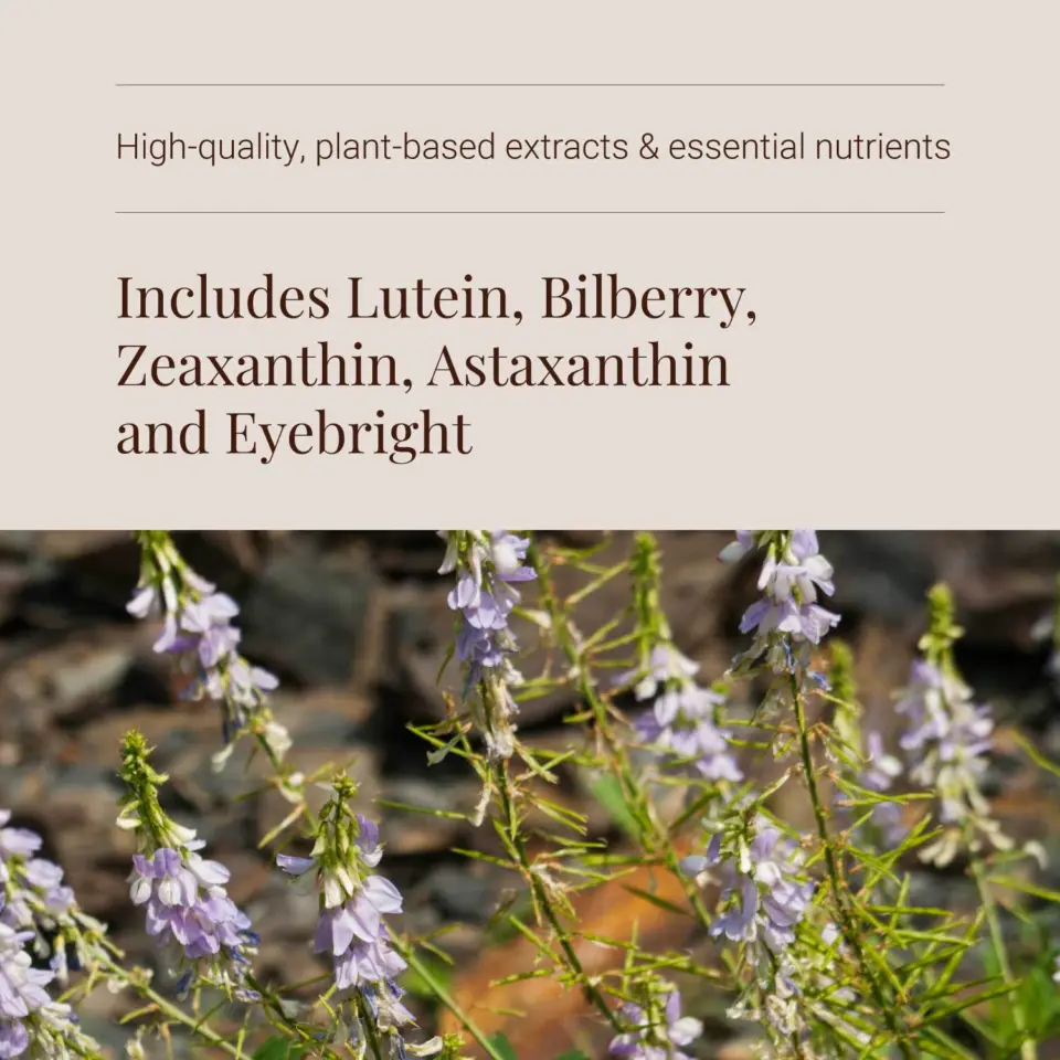 Text: "Includes Lutein, Bilberry, Zeaxanthin, Astaxanthin and Eyebright" over purple flowers.