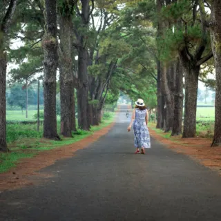Person in a dress and hat walking down a tree-lined road.