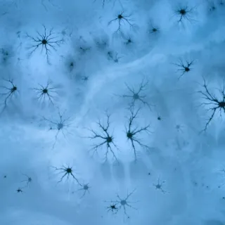 Blue ice surface with star-shaped cracks resembling frost patterns.