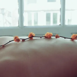 Branch with orange flowers on a person's back in front of a window.