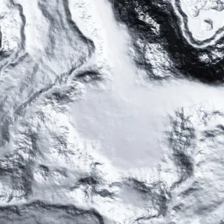 Abstract black and white texture resembling marble or stone patterns.