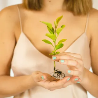 Woman holding a small plant with roots, wearing a beige camisole.