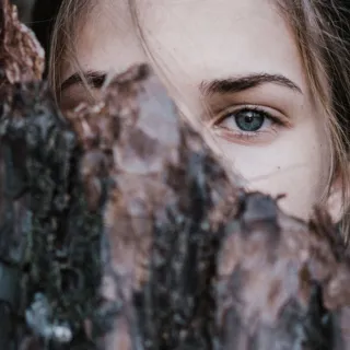 Person's eye visible through tree bark.