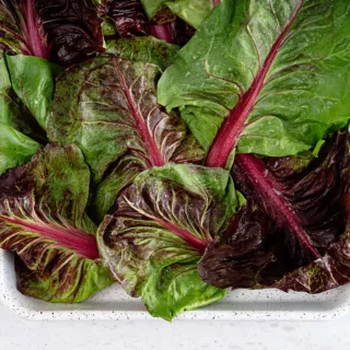 Fresh radicchio leaves with red veins on a white speckled tray.