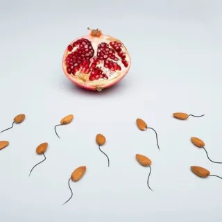 Half pomegranate with almonds arranged like sperm on a light background.