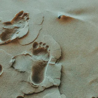 Footprints in sand with a small shell nearby.