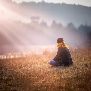 Person sitting in a field with a yellow scarf, facing sunlight and distant trees.