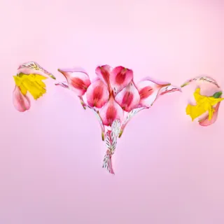 Pink and yellow flower petals arranged on a pink background.