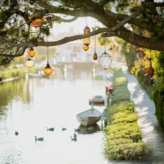 Lanterns hang from a tree over a canal with ducks and a boat.