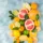 Assorted citrus fruits on a blue background, including grapefruit, lemon, lime, and oranges.