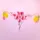 Pink and yellow flower petals arranged on a pink background.